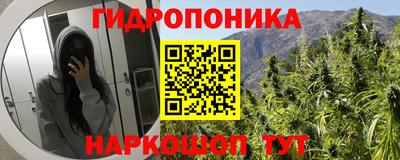 каннабис Будённовск