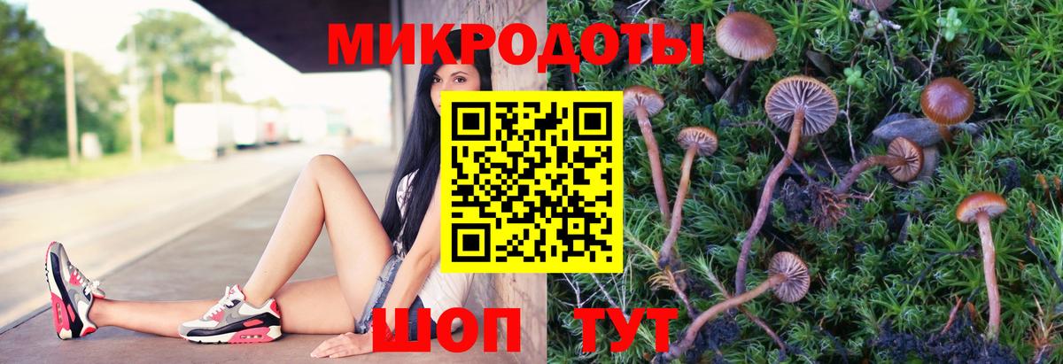 Галлюциногенные грибы прущие грибы Шарыпово
